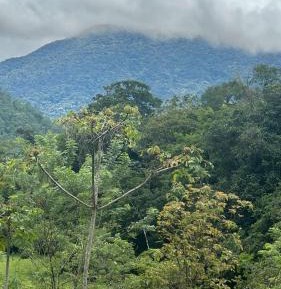 Standard Double Room with Fan
