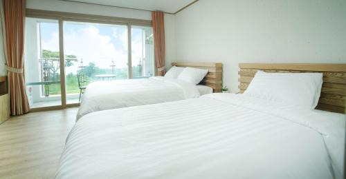Studio (3 Adults)