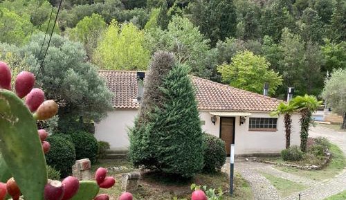 Superior Chalet