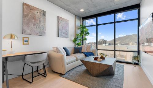 Deluxe One-Bedroom Apartment