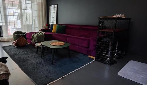 Deluxe Studio