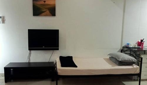 Family Studio