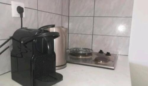 Two-Bedroom Apartment with Garden View