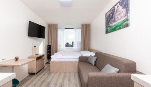 One-Bedroom Family Apartment