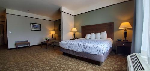 King Suite with Jetted Tub and Sofa Bed - Walk-In Shower/Non-Smoking