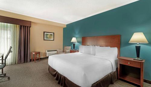 King Room with Roll-In Shower - Disability Access