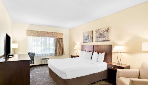 King Room
