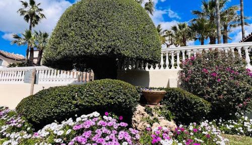 Suite with Garden View
