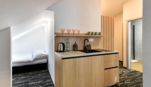 One-bedroom Loft Apartment 