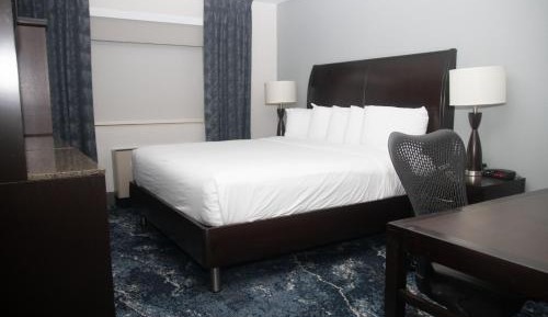 Luxury Room King Non-Smoking Newly Renovated 