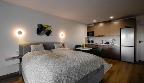 One-Bedroom Apartment with Garden View