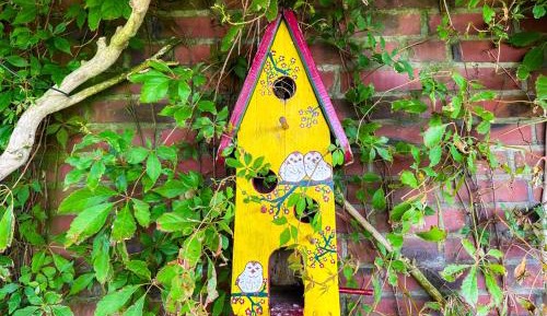 Two-Bedroom Superior Apartment