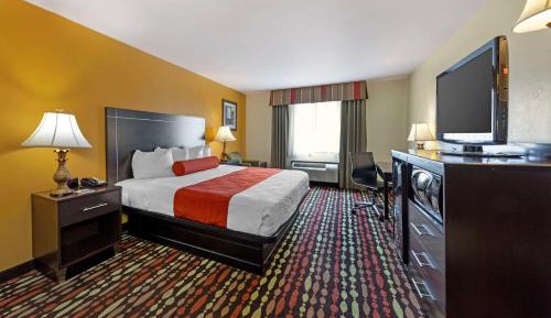 King Room - Pet Friendly/Non-Smoking