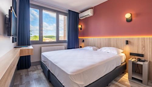 Standard Single Room with Mountain View