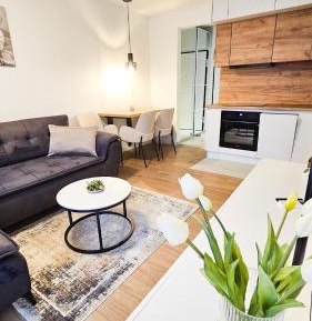 One-Bedroom Premium Apartment