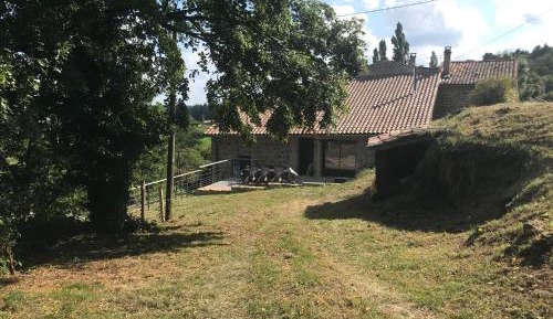 Five-Bedroom House