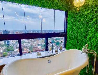 Deluxe One-Bedroom Apartment