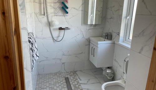 King Room with Roll-In Shower - Disability Access