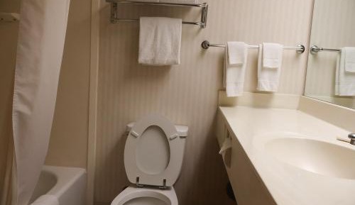 Junior Suite with Two Queen Beds
