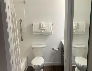 Double Studio with Two Double Beds and Sofa Bed