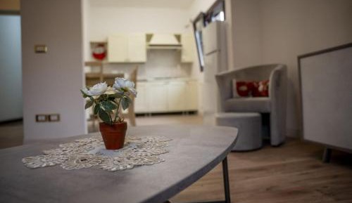 Classic Apartment