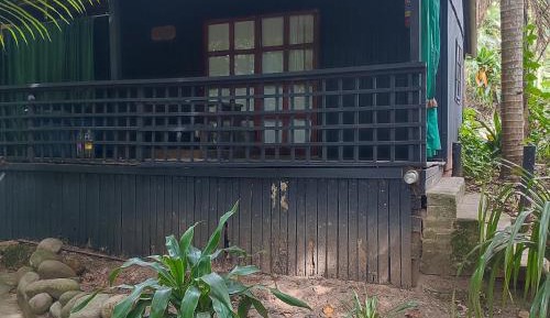 Mixed Dormitory Room