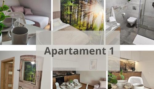 One-Bedroom Standard Apartment