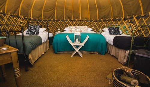Yew Yurt 