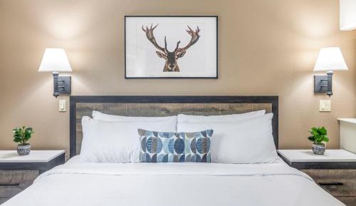 Two Bedroom Family Suite - Non-Smoking