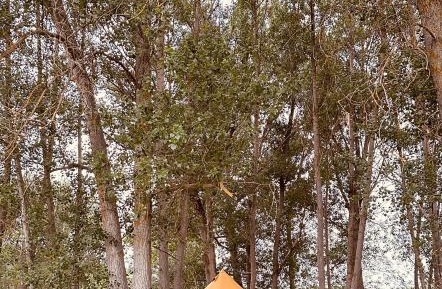 Superior Tent