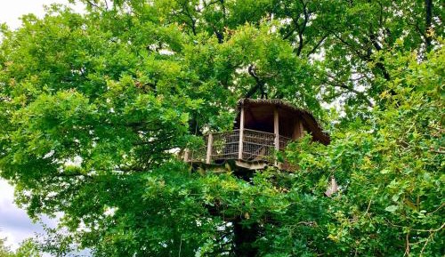 Double Room with Terrace