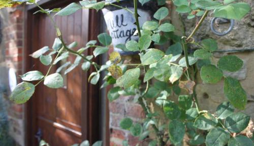 Three-Bedroom House - Mill Cottage