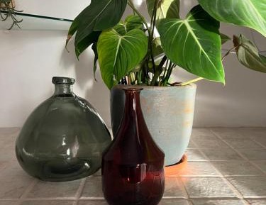 One-Bedroom Bungalow