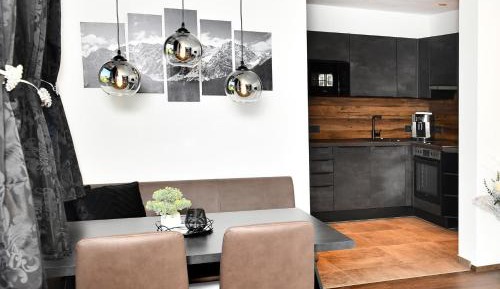 One-Bedroom Apartment with Shower