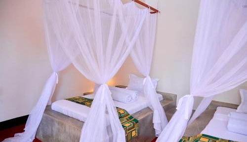 Basic Triple Room