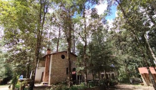 One-Bedroom Chalet