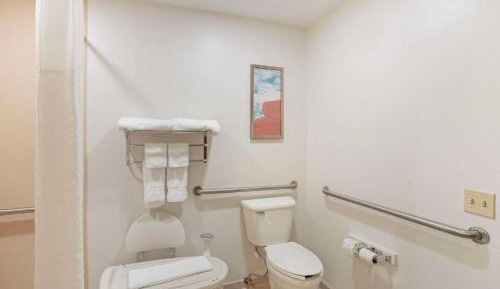 King Suite with Roll-in-Shower - Accessible/Non-Smoking