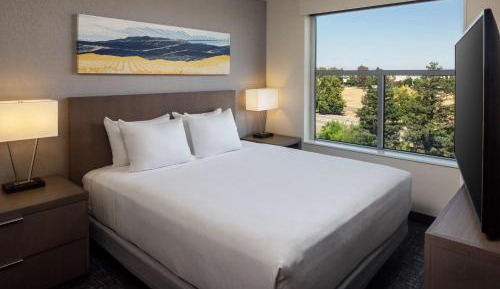 King Studio Suite with Kitchen and Sofa Bed