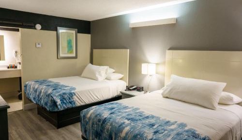 Superior Queen Room