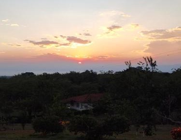 Large Double or Twin Room