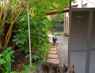 Apartment with Garden View