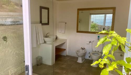 King Room with Mountain View