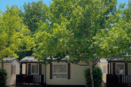 Family Bungalow