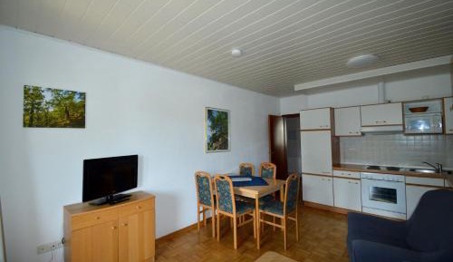 Two-Bedroom Apartment with Lake View