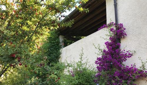 Two-Bedroom Apartment with Terrace