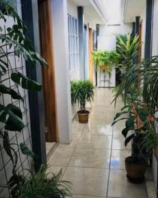 Double Room with Shared Bathroom