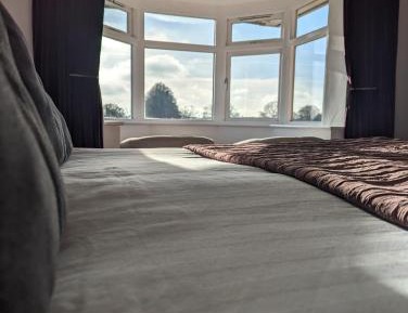 King Room with Garden View