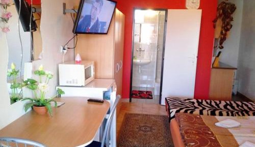 Studio with Terrace