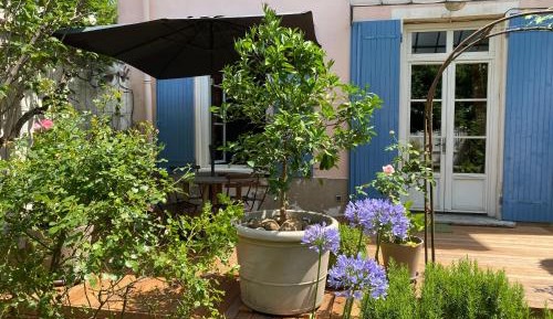 Apartment with Garden View