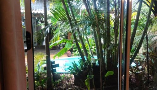 Suite with Pool View